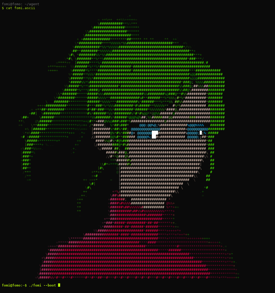 fomi, a green-haired girl rendered in terminal ascii art